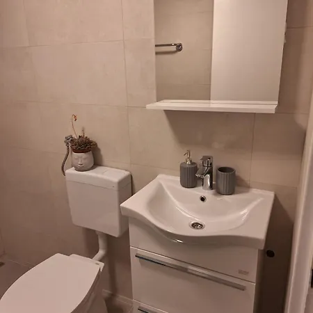 Apartment With Terace Crikvenica Room photo